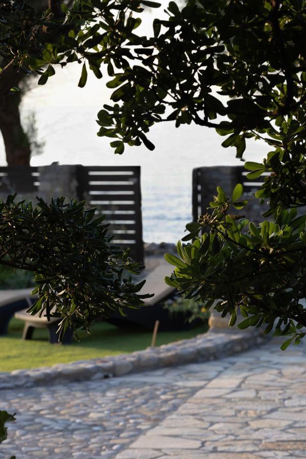 Villa Thalassa Stavromenos Beach Μαγνησία Εξωτερικό φωτογραφία